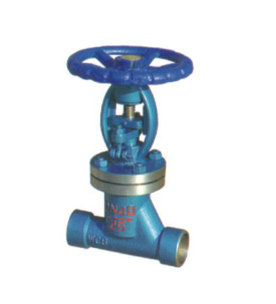 Bellows Globe valves